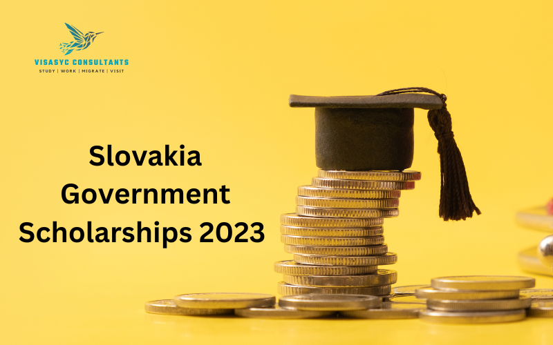 Read more about the article Slovakia Government Scholarships 2023 | Study in Europe