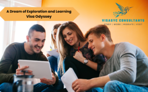Read more about the article Visa Application  Odyssey: A Dream of Exploration and Learning